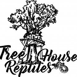 Tree House Reptiles avatar