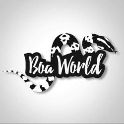 Boa World avatar