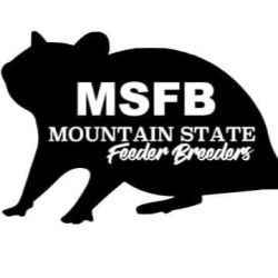 Mountain State Feeder Breeders avatar