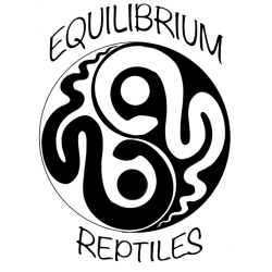 Equilibrium Reptiles avatar