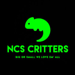 Ncs Critters avatar