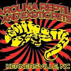 Carolina Reptiles avatar