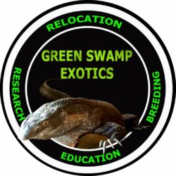 Green Swamp Exotics Llc avatar