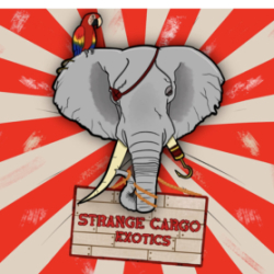 Strange Cargo Exotics avatar