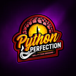 Python Perfection Inc avatar