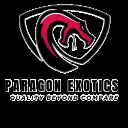 Paragon Exotics avatar
