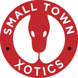 Small Town Xotics avatar