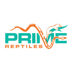 Prime Reptiles avatar