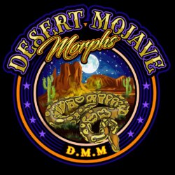 Desert Mojave Morphs avatar