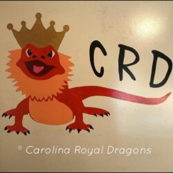Carolina Royal Dragons avatar