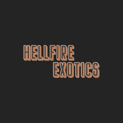 Hellfire Exotics avatar