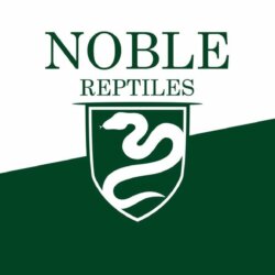 Noble Reptiles avatar