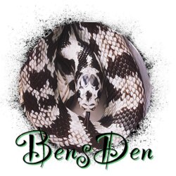 Bens Den Kingsnakes avatar