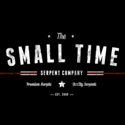 The Small Time Serpent Company avatar