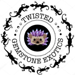 Twisted Gemstone Exotics avatar