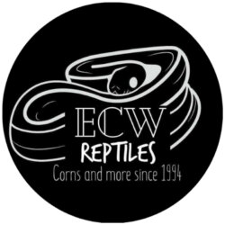 Ecw Reptiles avatar