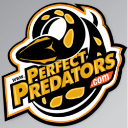 Perfect Predators avatar