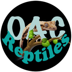 Oac Reptiles avatar