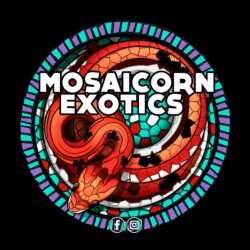 Mosaicorn Exotics avatar