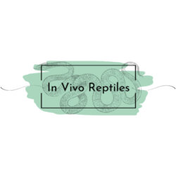 In Vivo Reptiles avatar