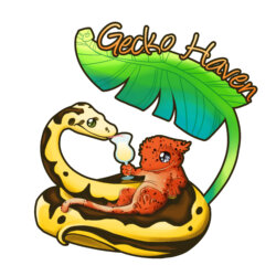 Gecko Haven avatar