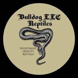 Bulldog Llc Reptiles avatar
