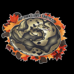 Autumn Leaves Exotics avatar