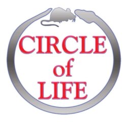 Circle Of Life Reptiles avatar