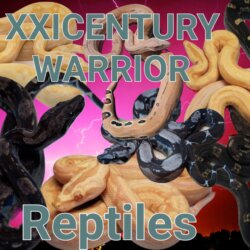 Xxicenturywarriorreptiles avatar