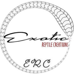 Exotic Reptile Creations avatar