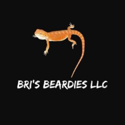 Bris Beardies Llc avatar