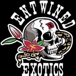 Entwined Exotics avatar