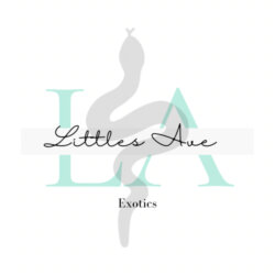 Littles Ave Exotics avatar