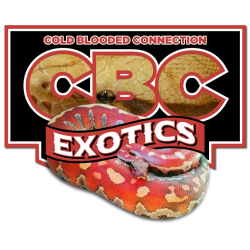 Cbc Exotics avatar