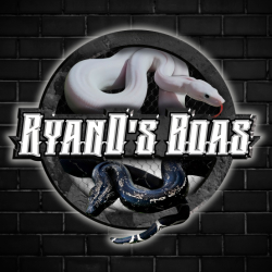 Ryands Boas avatar