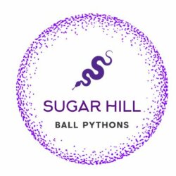 Sugar Hill Ball Pythons avatar