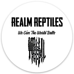 Realm Reptiles avatar