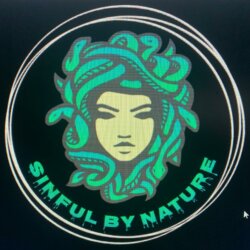Sinful_by_nature avatar