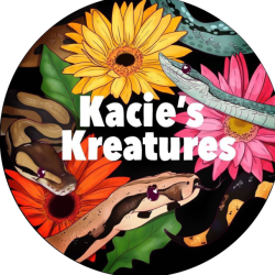 Kacies Kreatures avatar