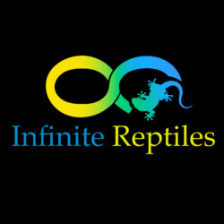 Infinite Reptiles avatar