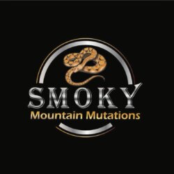 Smokymoutainmutations avatar