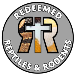 Redeemed Reptiles And Rodents avatar