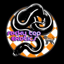 Rocky Top Exotics avatar