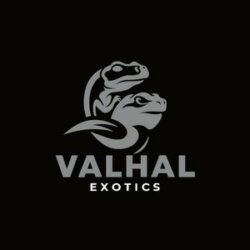 Valhal Exotics avatar