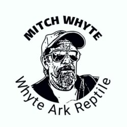 Whyte Ark Reptile avatar