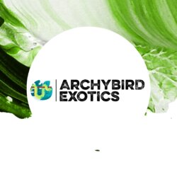 Archybird Exotics avatar