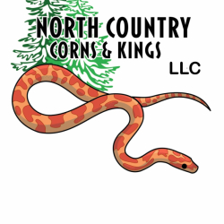 North Country Corns Kings Llc avatar