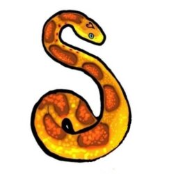 Sarahs Snake Shop avatar