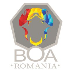 Boa Romania avatar